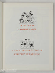 Tintin (Casterman-Rombaldi). Oeuvre Intégrale De Hergé (L’) (13 Volumes) Livre