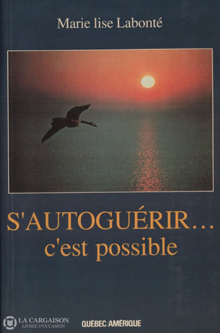 Labonte Marie Lise. Sautoguérir... Cest Possible Livre